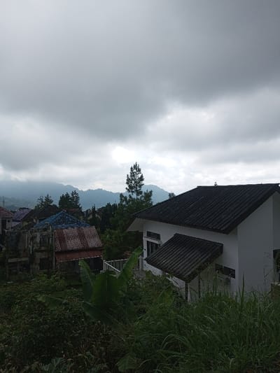 The image depicts a residential area in Kondha, India, under an overcast sky. A prominent white house with a dark tiled roof occupies the right foreground and mid-ground, featuring a smaller, dark-tiled awning over a lower section. To its left and extending into the mid-ground are several other residential structures, including one with a blue-tiled roof and another with a reddish-brown corrugated metal roof, some appearing weathered or partially derelict. Dense green vegetation, including tall grasses, bushes, and banana leaves, occupies the immediate foreground and surrounds the buildings. A tall, slender pine tree stands between the houses and the distant mountains. The background features rolling mountains partially obscured by low-hanging clouds. No individuals are visible. The lighting is diffused, consistent with a cloudy day.
