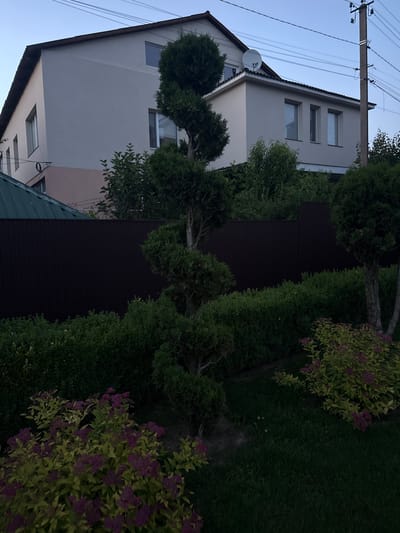 This image, taken in Hraniv, Ukraine, depicts a residential building and its surrounding garden area during the late afternoon or early evening. The building, constructed of light-colored stucco, has a multi-pitched roof with dark shingles and features several windows. A satellite dish is visible on the roof. A tall, dark brown wooden fence runs along the perimeter of the property, separating the house from the garden. The garden itself is well-maintained, with a variety of green bushes and a prominently featured topiary tree with a spiraling trunk. In the foreground, flowering bushes with green and yellow foliage and clusters of small purple flowers are visible. A portion of a dark green metal roof, likely belonging to an attached structure or shed, is visible in the lower left corner. Utility poles and overhead wires are present in the background, suggesting the property is located in a developed area. The sky is a pale blue, indicating dusk. No people are present in the image.