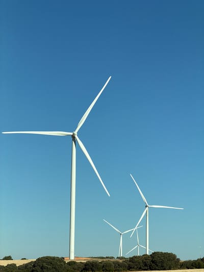 In the city of Motilla del Palancar, Spain, a landscape featuring multiple wind turbines is depicted under a clear blue sky. The foreground is dominated by a line of green, leafy bushes and trees, with a dry, yellow field visible behind them. Several white wind turbines are positioned in the mid-ground and background, their tall white towers supporting large, white blades that are angled against the sky. The closest wind turbine is prominently displayed on the left side of the frame, with its blades extending outwards. Further back, three more wind turbines are visible, appearing smaller due to their distance. The scene is bathed in bright sunlight, casting no discernable shadows, suggesting it is midday. No people are present in the image.