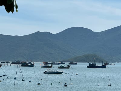 In the waters off Ninh Ích, Vietnam, a serene scene unfolds with numerous fishing boats of varying sizes anchored or moored. A long wooden pier extends into the water on the left, supporting several of these vessels. The foreground is dotted with buoys and floating debris, with several poles sticking out of the water, possibly marking fishing nets or structures. In the mid-ground, a variety of fishing boats are visible, some with orange flags. One larger, dark blue fishing boat with a red flag prominently sits in the center-right. A smaller white and blue motorboat is in the foreground, with its engine clearly visible. The background is dominated by lush, green, mountainous terrain that slopes down towards the sea, with a hazy sky above. The overall impression is one of a tranquil fishing harbor, characteristic of coastal life in Vietnam.