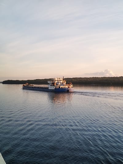 A large, blue cargo ship is sailing down a wide river at sunset, with a lush green forest lining the opposite bank. The sky is a soft gradient of pale blue and orange, with a few wispy clouds. The water is calm, with gentle ripples reflecting the warm light. The ship is long and low, with a superstructure at the stern. It appears to be carrying cargo, possibly logs or other bulk materials, on its deck. The overall scene evokes a sense of peaceful transit and the vastness of nature.