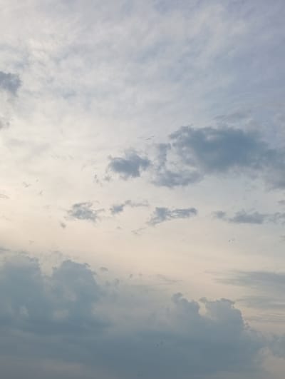 A cloudy sky is depicted in the image. The clouds are varied, with some appearing light and wispy, while others are darker and more substantial, suggesting varying densities and altitudes. There are also several small dark shapes scattered across the sky, which appear to be birds in flight. The lighting suggests it is either early morning or late afternoon, with a soft, diffused light illuminating the scene. The overall impression is one of a calm, overcast day. There are no discernible landmarks or structures that would indicate a specific location in Temryuk, Russia.