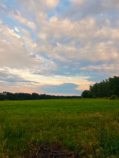 This media file depicts a serene landscape of a vast, green meadow under a dramatic sky. The foreground is dominated by tall, lush grass speckled with small white wildflowers, suggesting a natural, untamed environment. The middle ground is a meticulously kept, vibrant green field that stretches towards a line of dense trees. The trees on the right form a thick forest, while those on the left are interspersed with buildings, indicating a proximity to a settlement.
The sky is a canvas of soft, pastel clouds in hues of cream, pink, and pale blue, hinting at either sunrise or sunset. The lighting suggests the golden hour, casting a warm glow over the scene and creating a tranquil, almost ethereal atmosphere. The overall emotion evoked is one of peace and natural beauty.
The location is identified as Synkovo, Russia. No people or specific objects are the focus of the image, and there is no visible text. The image captures a moment of quiet contemplation in a natural setting bordering civilization.