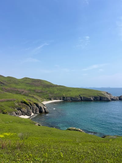The image depicts a coastal scene in Slavyanka, Russia. A steep, grassy cliff slopes down to the turquoise water of the bay. The cliff face has rock formations and small patches of sand where it meets the water. The sky is blue with sparse, light clouds. The overall impression is of a natural landscape with the cliff side dominating the view.