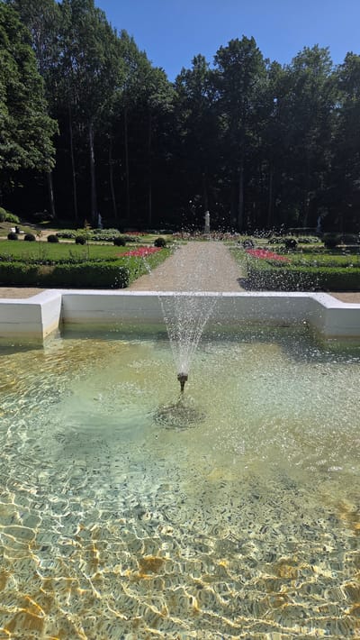 The image depicts a garden scene with a fountain. Tall, dark green trees line the left side of the frame, creating a dense, shaded area. In front of the trees is a manicured garden with green lawns, flowerbeds featuring pink and red blooms, and neatly trimmed bushes. A gravel pathway runs through the garden. The right side of the image is dominated by a fountain with clear, greenish water. Water is spraying from a bronze nozzle, creating a dynamic display of droplets and splashes. The bottom of the fountain basin is visible, with the clear water revealing stones or a patterned surface beneath. The sunlight creates rippling reflections on the water's surface. The sky above the trees is a clear, bright blue, suggesting a sunny day. The overall setting appears to be a well-maintained park or botanical garden, possibly in Palanga, Lithuania, given the context. No people are visible in the image. The time of day is likely midday or early afternoon, given the bright sunlight.