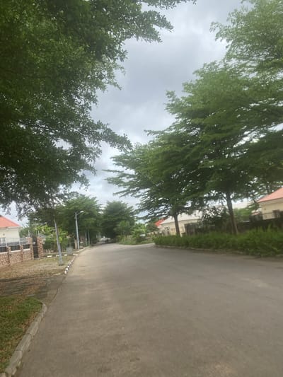 The image depicts a quiet street in Gosa, Nigeria, lined with lush green trees on both sides. The road is paved and appears to be a residential area. On the left, a house with a red roof and a brick fence is visible. Streetlights are spaced along the road. The sky is overcast, suggesting a cloudy day. The scene conveys a sense of tranquility and suburban life.