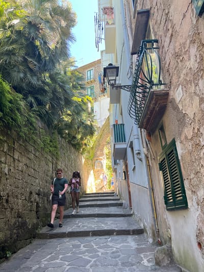 This image shows a steep, narrow, cobblestone street in Sorrento, Italy, lined with ancient stone walls and buildings. Lush palm trees and green foliage cascade down from a higher level along the left side of the street. Two individuals are walking down the stairs. The person in front, appearing to be a man, is wearing a dark green t-shirt, dark shorts, and black slip-on shoes, and is carrying a white tote bag and a bottle of water. The person behind him, appearing to be a woman, is wearing a pink tank top, denim shorts, and white sneakers, and has her hair styled in pigtails. Further up the stairs, several other individuals can be seen walking. The architecture of the buildings suggests a historic Mediterranean setting. The sunlight casts shadows, indicating it is daytime.