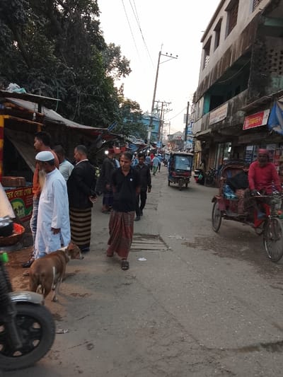 This image depicts a bustling street scene in Tarabo, Bangladesh, likely a market area. The view is from a low angle, looking down a paved, somewhat worn road that recedes into the distance under a pale sky.
On the left, a series of makeshift stalls or shops with corrugated metal and tarp awnings are visible. Dense green foliage and trees overhang these structures. Several adult males are standing and walking in this area. One man in a white kurta and skullcap stands facing right, next to a brown and white dog that looks towards the left. Another man in a black shirt and striped lungi walks towards the foreground, while a man in a black jacket and striped lungi stands facing away from the camera. Bengali script is visible on a sign above the dog, partially obscured. The front wheel and fender of a dark motorcycle are in the extreme foreground on the left.
On the right side of the street, multi-story buildings with aged facades line the road, housing ground-level shops. Overhead, numerous utility poles and tangled electrical wires are visible against the sky. Further down the street, an auto-rickshaw is parked or moving, and a person on a bicycle rickshaw, wearing a red top, moves towards the foreground carrying goods or a passenger. Several other pedestrians are scattered along the street in the mid-ground and background.
The lighting suggests late afternoon or early morning, with soft, ambient light illuminating the scene.