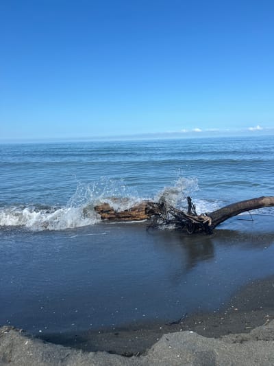 The image depicts a tranquil seascape in Shekvetili, Georgia, featuring a clear blue sky above calm, deep blue ocean waters. A large piece of driftwood, with exposed roots and branches, rests partially submerged on a dark, sandy beach. A gentle wave is breaking against the driftwood, creating a splash of white foam and water droplets that catch the sunlight. The scene is serene, with no people or other significant elements present, emphasizing the natural beauty of the coastal environment. The sun appears to be high in the sky, casting minimal shadows and contributing to the overall bright and clear atmosphere.