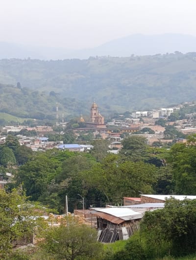 An elevated, panoramic view captures the city of Timaná, Colombia, under an overcast or hazy sky. In the foreground, dense green foliage, including trees and bushes, partially frames the scene. To the immediate right, a structure with a weathered, rusted corrugated metal roof covers stacked dark, rectangular materials, consistent with lumber or metal sheeting. To the left of this, building construction materials, including stacks of red bricks, are visible.

The midground features the main urban area of Timaná. A prominent, light reddish-brown church stands centrally, characterized by a tall main tower capped with a golden-domed cupola, flanked by two smaller, golden-domed structures. Surrounding the church are numerous residential and commercial buildings with varied roof types, including red tiles and lighter-colored materials. Extensive tree canopies are interspersed throughout the townscape. Utility poles with overhead wires are discernible within the urban fabric.

The background consists of multiple layers of green, undulating hills covered in vegetation. These hills progressively fade into a light blue-grey hue due to atmospheric haze, merging with the uniform light grey sky. No individuals are visible in the scene.
