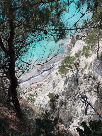 This is a high-angle, close-up, vertical outdoor shot taken in Dzhankhot, Russia. The image focuses on a rocky cliff face with turquoise water and a pebble beach at its base. Pine trees with dark branches and needles frame the scene, obscuring parts of the cliff and water. The cliff is white and heavily textured, with layers and indentations. A dark, weathered tree trunk dominates the left foreground. In the mid-ground, several smaller pine trees with green needles are visible on the cliff. The water is bright and clear, with small waves washing onto the shore, which is littered with driftwood. The overall impression is one of a rugged coastal landscape.