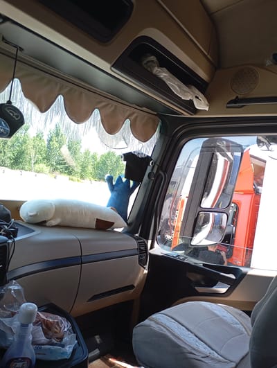 The image shows the interior of a truck cabin, likely in Boryspil, Ukraine, given the hint. A white, plush toy, possibly a cat or a similar animal, lies on the dashboard. To its right, a blue, plush toy resembling a glove or a hand is also visible. Outside the window, trees and vegetation are seen, suggesting a rural or roadside location. The truck cabin features a beige dashboard, an overhead compartment with a white plastic bag inside, and a decorative valance above the windshield. A portion of an orange truck is visible through the passenger side window. In the foreground, on the passenger side, a seat cover with a textured pattern is visible. A plastic bottle with a blue cap and a bag of food items are on a tray below the dashboard. The overall impression is one of a parked truck on a sunny day.