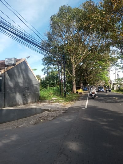 The image depicts a roadside scene under a clear blue sky with minimal cloud cover. A two-lane asphalt road, marked by a white broken line, runs from the foreground towards the background on the right. On the left, a gray building with an angled roof displays a rectangular sign in Indonesian, which reads "BIDAN Ny. Hj. RUBAIYAH, S.ST" and "PERAWATAN 24 JAM" (Midwife Mrs. Hj. RUBAIYAH, S.ST, 24-Hour Care). The building's wall is marked with graffiti reading "DBR," "Fahmi," and "Cello." Adjacent to the building is an unpaved area leading to overgrown grass and dense vegetation. Numerous black power lines are visible strung across the upper left sky, connected to utility poles lining the road.

A person wearing light clothing and a head covering rides a white scooter in the right lane, moving away from the viewer. Behind them, several cars and additional motorcycles are also traveling in the same direction, including a blue car. Along the right side of the road, large, mature trees with extensive foliage form a canopy, casting shadows onto the asphalt. Beneath one of these trees, a wooden stall displays a quantity of yellow fruit. The visible text on the building sign is in Indonesian, indicating the location is in Indonesia, not Phonengam, Laos.