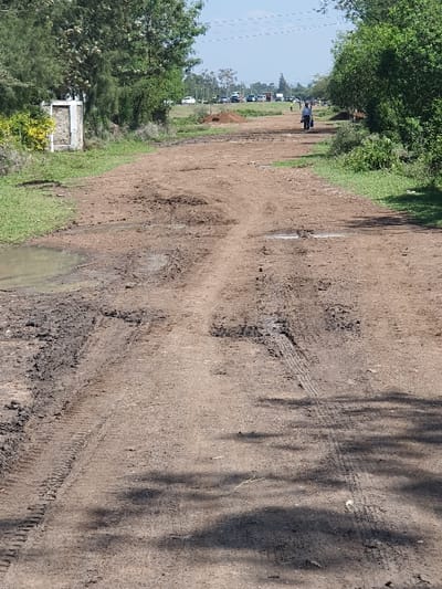 The image captures an unpaved dirt road within Kobura ward, Kenya, under direct daylight. The road surface is uneven, characterized by numerous ruts, depressions, and areas of dried and wet mud. A significant puddle of murky water occupies the left side of the road in the foreground. Visible tire tracks run along the length of the path. Green trees and dense bushes flank both sides of the road. On the left, partially obscured by foliage, a small, white rectangular concrete or masonry structure stands. In the mid-ground, a lone individual, wearing a blue top and dark trousers, is walking away from the camera on the dirt path, carrying an object on their back or in their hands. Further in the distance, multiple vehicles are visible in an open area, alongside a mound of reddish-brown earth. Overhead power lines are faintly visible against a clear blue sky. Shadows are cast on the road, consistent with direct sunlight.