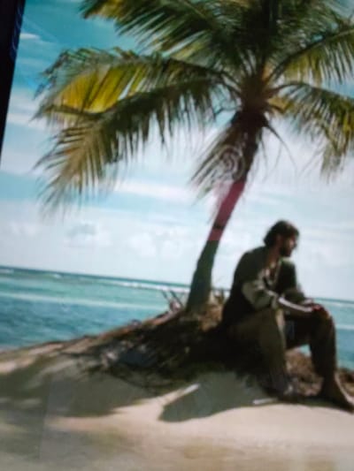 A man is sitting on a small island under a palm tree. The island has a sandy beach and vegetation near the tree. The ocean is in the background, with a light blue sky above. The man is wearing dark clothing and appears to be looking towards the ocean. The image is slightly blurred.
Binkos, Bulgaria is not relevant to this image.