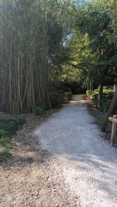The image depicts a pathway in a park with dense bamboo on the left and deciduous trees on the right. The pathway is made of light-colored gravel and is relatively straight, leading into a heavily wooded area. The environment suggests a park or garden setting, likely in a temperate climate, given the presence of deciduous trees and the green foliage. The scene is unpopulated, with no people or animals visible. Shadows from trees are cast across the pathway, indicating it is daytime. The overall impression is one of natural tranquility. Without further information, it is not possible to definitively place this scene in Dijon, France.