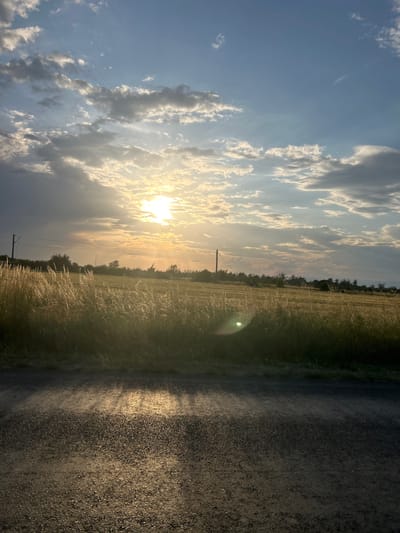The image captures a serene rural landscape during either sunrise or sunset in Graf Ignatievo, Bulgaria. The bright sun, partially obscured by clouds, dominates the left side of the sky, casting a warm, golden light across the scene and creating a prominent lens flare. The sky transitions from a vibrant blue to lighter tones around the sun, dotted with white and grey clouds that are also illuminated by the low light.
Below the horizon, a vast field of tall, golden-hued grass or crops stretches across the middle of the frame, showing delicate textures from the sunlight. A line of trees and distant vegetation marks the horizon. Several utility poles with overhead power lines stand within the field, extending towards the background. On the right side of the image, a dark, granular gravel or dirt road runs along the edge of the field, reflecting the sun's golden rays. No people, animals, or specific activities are visible, emphasizing the quiet solitude of the natural setting. There is no visible text in the image.