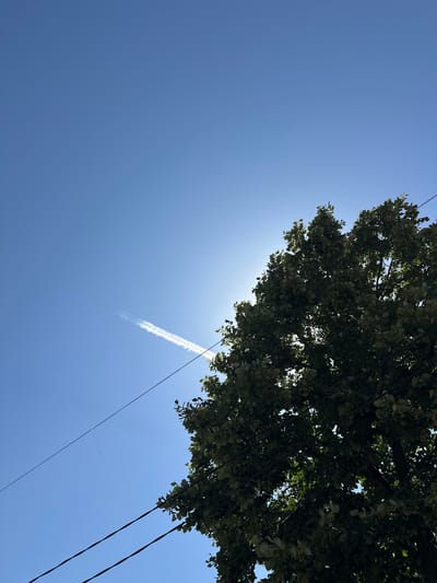 The image depicts a bright blue sky with a thin, wispy contrail stretching diagonally from the lower left to the upper right. The sun is partially obscured by the dense foliage of a large tree, which dominates the right side of the frame. The tree is in full leaf, with various shades of green visible. Two dark, parallel power lines run horizontally across the lower portion of the image, intersecting with the tree. In the distance, two small, dark specks are visible in the sky, possibly birds. The scene appears to be outdoors, with no visible man-made structures or people, suggesting a natural or semi-natural environment. The lighting indicates daytime, likely late morning or early afternoon, given the angle of the sun. The location is identified as Sklave, Bulgaria.