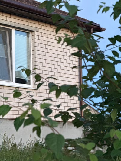 A close-up, medium shot captures the side of a brick house with a window, framed by out-of-focus green foliage and branches against a pale blue sky. The house is constructed with light-colored bricks laid in a stretcher bond pattern. A white-framed window with horizontal blinds is visible on the left side of the frame. Above the window, a dark brown fascia board and a section of a shingled roof are visible, along with a gutter. The lower portion of the house appears to have a lighter-colored foundation or lower wall. In the foreground and encroaching from the right and bottom of the image are blurred green leaves and branches of a tree or shrub, with hints of tall grass and weeds at the bottom edge. The overall scene suggests an exterior view of a residential building in a suburban or rural setting, potentially Ivatsevichy, Belarus.