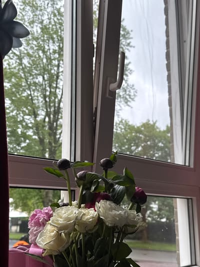 A bouquet of flowers, including pink and white roses and dark red peonies in bud form, is arranged in a vase on a windowsill. The window is partially open, revealing a view of green trees and a cloudy sky outside. The scene is indoors, with a red curtain visible on the left side of the frame and part of a white window frame. The location is the city of Enschede, Netherlands.