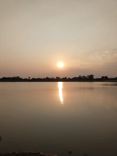 This vertical, full-frame photograph captures a serene sunset over a body of water in Sambirejo, Indonesia. The sun, a bright, diffused orb, is positioned in the upper center of the frame, casting a warm, golden light across the scene. A prominent reflection of the sun stretches across the water's surface, creating a shimmering path of light. The water itself appears calm, with subtle ripples distorting the reflection. Along the horizon, a silhouetted treeline and a few buildings are visible, suggesting a rural or semi-rural environment. The sky is a soft gradient of pale orange and beige, with a few wispy clouds present. The foreground is dominated by the water, with a sliver of dark, rough ground visible at the very bottom edge of the image. No people or animals are clearly discernible in the frame. The overall mood is peaceful and tranquil, characteristic of a sunset in a natural setting.