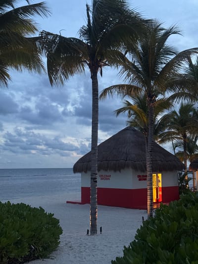A beach scene shows a lifeguard station with a thatched roof. It's painted with alternating red and white stripes, displaying the words "ORLEBAR BROWN". The station sits on a sandy beach overlooking the ocean under a cloudy sky. Palm trees are framing the scene on either side, with dense green bushes on the right. The photo has a dreamy, calming atmosphere.