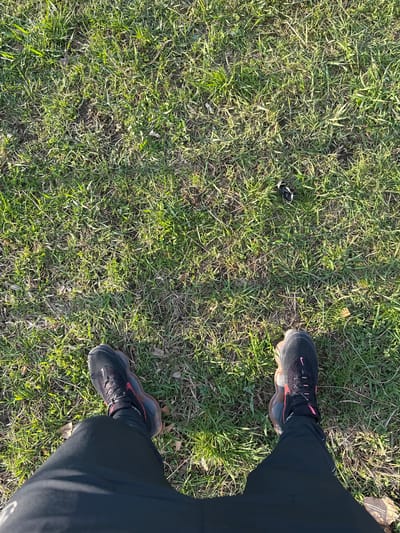 A first-person perspective photograph depicts two feet clad in black Nike running shoes with pink accents, standing on a patch of green grass. The grass appears to be a mix of blades and patches of bare earth, indicative of a natural outdoor environment. The lower portion of the person's legs is visible, covered by black sweatpants. The overall composition suggests the individual is standing outdoors. The location in the city of Dushevo, Bulgaria, cannot be verified from the provided image.