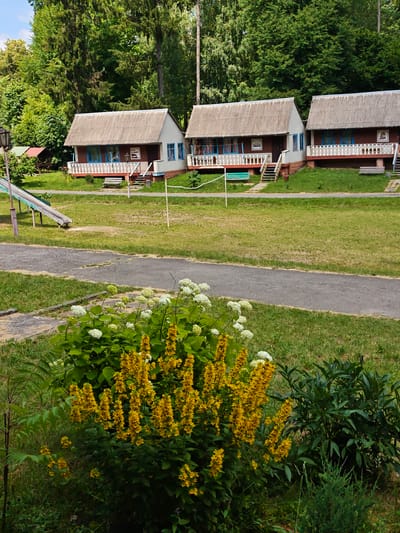 The image depicts a row of three identical small wooden cabins in the city of Sosny, Ukraine. Each cabin has a dark red facade, a white porch with a railing, and a slate roof. Blue-framed windows are visible on each cabin. In front of the cabins, there are wooden benches. To the left, a children's slide is visible. The cabins are situated on a grassy area, with a paved path running across the foreground. In the immediate foreground, there is a bush with bright yellow flowers and some white flowers. The background is dominated by a dense forest. The sky is partly cloudy. The scene appears to be a recreational area or a resort. There are no people visible in the image.