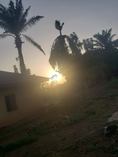 The image depicts a scene at sunrise or sunset in a rural area, likely in or around Kachia, Nigeria. The sky is a pale gradient, transitioning from a lighter hue at the horizon to a darker, muted tone towards the top. The sun, a bright, hazy orb, is low in the sky, casting a strong glare that obscures details in its immediate vicinity.
In the foreground, to the left, is the side of a building, appearing to be a simple house with a dark rectangular window. The building has a light-colored wall. A large palm tree with its fronds silhouetted against the sky stands prominently to the left of the building. Another palm tree, bent over, is visible in the mid-ground, also silhouetted.
The ground in the foreground and mid-ground is a mix of dark soil and patches of green vegetation. There are some fallen leaves and debris on the ground. In the background, further trees and foliage are present, also mostly silhouetted by the low sun. The overall impression is one of a natural, undeveloped environment, characteristic of rural landscapes. The presence of palm trees suggests a tropical or subtropical climate.