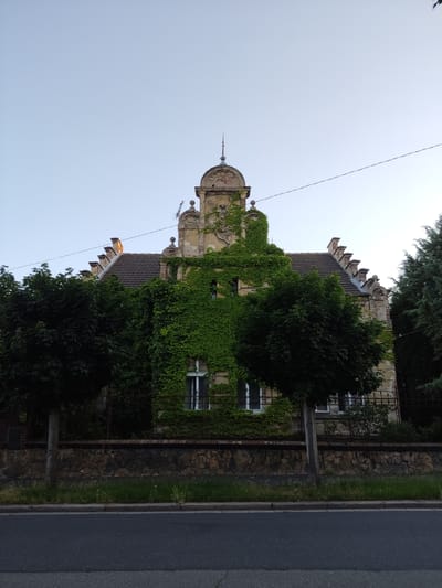 A historical building, likely a villa or a former administrative building, is depicted from a street-level perspective. The facade of the building is heavily overgrown with ivy, giving it a weathered and aged appearance. Architectural details such as decorative elements above the windows and a domed turret are visible, albeit partially obscured by the vegetation. Several trees stand in front of the building, some with neatly trimmed canopies, and a stone wall separates the property from the street. A paved road and a grassy verge are in the foreground. The sky is clear and pale blue, suggesting it's daytime. The presence of a small German flag on a pole atop the building hints at a historical connection or current ownership, and given the context of Kolín, Czechia, it's probable this is the Villa Dr. Josef Palkovský.