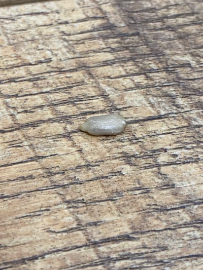 A single, light-colored, oval-shaped object, resembling a seed or pill, rests on a surface with a wood grain pattern. The surface is composed of brown and tan planks with visible darker lines indicating the grain. The object is slightly off-center in the frame, positioned in the lower middle section. The lighting is even, casting no distinct shadows. The scene appears to be indoors, on a table or countertop. There is no indication of the location being in Lymanka, Ukraine, nor are there any people or actions depicted.