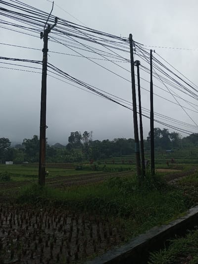 The image depicts an overcast rural or semi-rural landscape located in the city of YonPhoogla, Bhutan. In the foreground, four dark utility poles rise vertically, supporting a dense network of black electrical and communication cables that traverse the upper portion of the frame. The leftmost pole is visibly thicker and carries a greater number of lines. Beneath the poles, a dark, muddy rice paddy with standing water and plant stubble occupies the lower left quadrant of the image. Dark green grasses and weeds grow around the base of the poles and along a low concrete or stone barrier that forms the lower right edge.
The midground features extensive terraced agricultural fields, predominantly green with active cultivation. Approximately eight to ten small, red, conical structures are sparsely distributed across these fields. A small, light-colored building is partially visible within the fields on the left side. A dense line of tropical or subtropical trees borders the fields in the middle distance. In the background, forested hills or mountains are partially obscured by atmospheric haze or low-lying clouds against a uniformly light grey sky. No human figures are discernible within the frame.