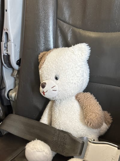 A stuffed toy dog, predominantly white with brown accents on its ears and a paw, is secured by a seatbelt in a dark, textured seat, likely in an airplane or bus. The dog has embroidered facial features: black eyes, a brown nose, and red and brown stitching for its mouth and whiskers. To the left of the dog, part of a grey metallic mechanism, possibly part of a seat adjustment or armrest, is visible. The background consists of the dark, leather-like upholstery of the seat. The image does not provide information about the city of Yehud-Monosson, Israel, or any specific urban environment.