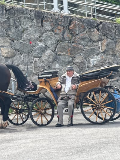 An older man, dressed in traditional Goral attire, is seated in a horse-drawn carriage on a paved surface. He has grey hair and wears a distinctive dark hat, a white shirt, a light-colored, intricately patterned vest or jacket (likely a serdak), and grey trousers with red embroidered accents near the ankles. He holds what appears to be a whip handle or part of the reins.
The carriage is made of wood with intricate details, featuring large spoked wheels. A dark-colored horse, with a long, dark mane and tail, is partially visible in the lower part of the frame, hitched to the carriage.
The background consists of a sturdy stone wall built with irregular, dark grey and brown stones. To the left side, a metal railing structure is visible, with some green foliage peeking out behind it. The ground beneath the carriage and horse is a smooth, light grey paved surface. The scene appears to take place during the daytime, under soft or overcast light. There is no visible text in the image. The attire of the man and the traditional carriage suggest a cultural or tourist activity, consistent with the context of Zakopane, Poland.
