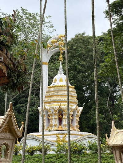 This image depicts an ornate, multi-tiered Buddhist stupa or pagoda, predominantly white with extensive gold ornamentation, situated outdoors in Chiang Dao, Thailand. The central structure features stylized tiered roofs and a base adorned with gold serpent scale patterns. On its upper level, multiple arched niches each house a standing statue of a monk, clad in burgundy robes and holding an alms bowl. Behind and arching over the stupa is a large, white naga (mythical serpent) sculpture with multiple gold-crowned heads facing outwards.

The scene is framed by several tall, slender tree trunks in the immediate foreground, with lush green foliage and dense trees forming the background under an overcast sky. In the lower-left foreground, a smaller, out-of-focus golden spirit house or miniature temple is visible. To the far left, a weathered section of a dark wood carved structure, covered with various epiphytic plants, is also present. Yellow flowering bushes are visible around the base of the main stupa. No living individuals are present in the image.