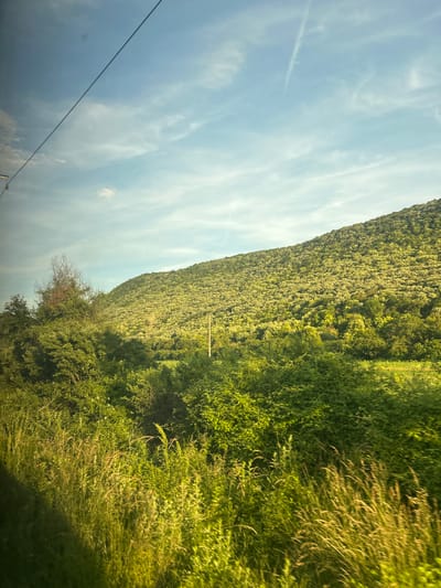 The image shows a sunlit hillside covered in dense green vegetation, with a bright blue sky dotted with wispy white clouds above. The hillside appears to be a natural landscape, possibly a forest or rolling hills, with varying shades of green indicating different types of plants and foliage. In the foreground, there is a lush growth of grass and bushes, bathed in sunlight which creates a warm, golden hue. A thin, dark power line stretches diagonally across the upper left portion of the sky. There are no visible people or specific structures in the frame, suggesting a rural or natural setting outside of an urban environment.