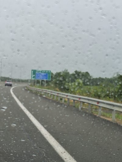 The image shows a view from inside a vehicle looking out at a highway in Shekvetili, Georgia, on a rainy day. Water droplets are visible on the windshield, distorting the view. The highway is paved with asphalt and has a white lane marker. On the left side of the road, there is a metal guardrail with reflective red markers. Beyond the guardrail, there are lush green trees and foliage.
A green highway sign with blue text is also visible on the left side. The text on the sign is in Georgian and English, indicating destinations and route numbers. The English text appears to say "Shekvetili" and "Batum". Below this, there is another line of text that is difficult to read due to the image quality.
In the distance, a dark-colored car is traveling on the highway. The overall mood of the image is somber, likely due to the rainy weather. The time of day is unclear but appears to be daytime. The presence of the highway sign and the road indicate a location on a main route within the region.
