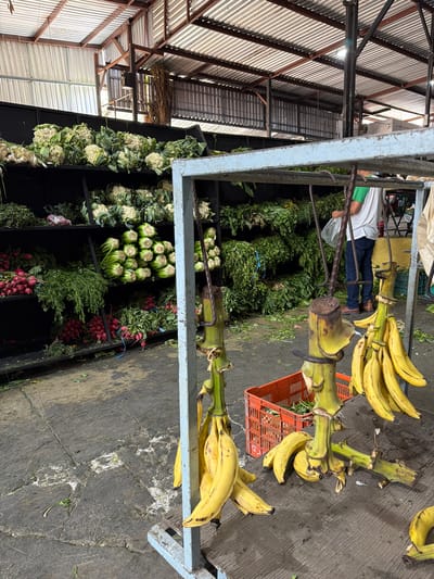 The image depicts a vegetable stand at a market in San Juan Cuautlancingo, Mexico. Bunches of bananas hang from a metal frame. Below, produce such as cauliflower, radishes, and leafy greens are arranged in a tiered display. A person wearing a white shirt and blue jeans stands behind the stand. The market is indoors, under a corrugated metal roof.