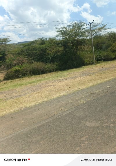 The scene is an outdoor landscape located in Kitengela ward, Kenya. In the foreground, a dark grey-brown unpaved road surface occupies the lower half of the image, extending diagonally from lower-left to mid-right. Adjacent to the road, an embankment slopes upward, covered in mixed patches of dry, light-brown grass and greener vegetation. A dense band of green trees and shrubs forms the mid-ground, extending across the width of the frame. A light-colored utility pole, equipped with insulators and three horizontal utility lines, stands vertically on the right side of the image, positioned among the trees. In the background, verdant hills or mountains are visible under a bright blue sky with scattered white cumulus clouds. No individuals or discernible activities are present.