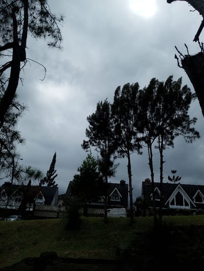 Silhouetted trees frame a scene of houses under a cloudy sky. The buildings exhibit pointed roofs and dormer windows. A green slope in the foreground leads up to the structures. Trees with dense foliage obscure portions of the houses, creating depth. A lamppost is visible behind the first house. The sky is overcast, and the sun is a bright spot behind the clouds.