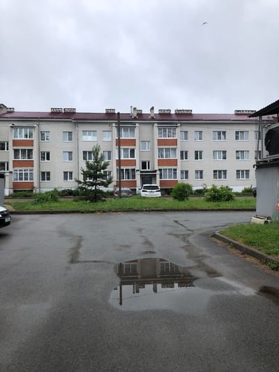 A three-story apartment building with a burgundy roof is shown on a cloudy day. The building is constructed of light-colored brick with red brick accents around some of the windows and balconies. There are numerous windows on each floor, and several chimneys are visible on the roof. In front of the building, there is a strip of grass with a small evergreen tree and some bushes. Several cars are parked in front of the building and on the wet asphalt in the foreground. The asphalt surface shows reflections of the building and a street light in several puddles. A bird is flying in the sky above the building. To the right of the building, a portion of a gray utility structure with a dark mesh-covered object on top is visible. The scene appears to be a residential area in Safonovo, Russia.