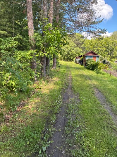 The image depicts a dirt path winding through a grassy area in Gornye Kljuchi, Russia. The path is flanked by a dense line of trees on the left, with their leaves forming a green canopy. On the right, the path leads towards a small, weathered wooden structure with a red roof and blue trim, suggesting it might be a shed or a small outbuilding. Beyond the building, more trees and foliage can be seen, and the sky above is a bright blue with scattered white clouds. The overall scene conveys a rural or semi-rural setting, likely a garden or yard, bathed in natural daylight.