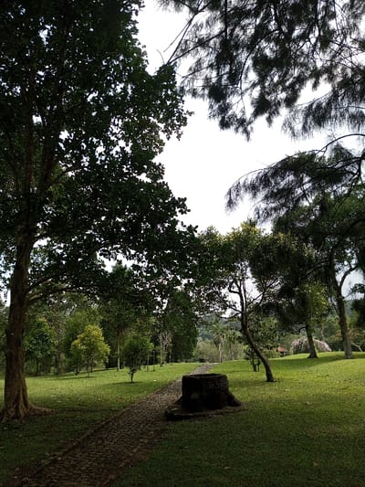 The image depicts an outdoor park or natural green space located in New Serchhip, India, illuminated by bright daylight, with a mostly white sky visible through gaps in the tree canopy. In the foreground, a dark, weathered stone structure, approximately 0.5 meters in height, is positioned to the right of a winding cobblestone path. The visible side of this stone structure features the carved text "Bak Santh". The cobblestone path extends from the lower foreground into the midground, bordered on both sides by well-maintained green grass. A prominent tree with a thick, textured trunk and dense, dark green foliage occupies the left side of the frame. Numerous other trees of varying heights and foliage types are scattered across the grassy landscape, extending towards a treeline and distant hills in the background. Shadows from the trees are cast upon the grass. No individuals or active subjects are present within the scene.