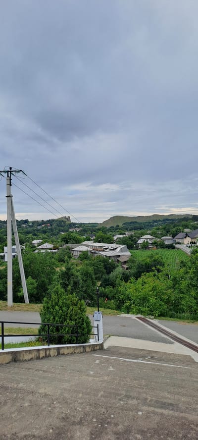 The image presents a wide shot of the village of Corjeuți, Moldova, under a cloudy sky. In the foreground, a concrete staircase leads down from the viewer's perspective, with a small portion of a road visible to the left and a drain grate crossing a paved area to the right. A black metal railing runs along the edge of a raised flower bed planted with a small evergreen tree.

Dominating the mid-ground is a dense expanse of green trees and vegetation interspersed with numerous houses. The houses are of varying sizes and architectural styles, with many featuring pitched roofs. Some appear to be older, with weathered roofs, while others seem more modern. A prominent wooden electricity pole with insulators and wires stands to the left of the frame, adding an element of infrastructure to the rural scene.

In the background, rolling hills covered in greenery frame the village. On one of the distant hills, a distinctive rock formation or ancient structure is visible, adding a point of interest to the landscape. The overall impression is one of a quiet, somewhat overcast day in a rural Moldovan village. No people are visible in the image.