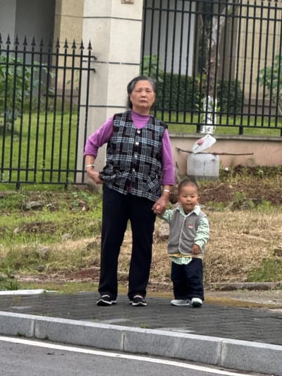 A woman is holding the hand of a young child, likely walking along a sidewalk in Shuangfu, China. The woman is wearing a purple long-sleeved shirt, a plaid vest, and black pants. The child is wearing a light green and gray jacket with black pants and white shoes. They are walking near a black metal fence bordering a lawn. The sidewalk is adjacent to a grassy area with dry vegetation. The city appears to be residential and suburban, based on the proximity of a building visible behind the fence.