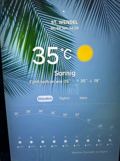 This is a close-up, rotated media file displaying a weather forecast on a digital screen, likely a smartphone or tablet. The foreground is dominated by the vibrant green fronds of a palm tree, which create a tropical or summery feel against a clear blue sky.

The screen shows a weather application with several key pieces of information. At the top left, the location is identified as "ST. WENDEL" with the date and time "Mi, 24 Jun. 14:29". A large, bold "35°C" is prominently displayed, indicating the current temperature. Above it, a bright yellow sun symbol suggests sunny weather. The text "Sonnig" confirms this, meaning "sunny" in German. Below the temperature, it states "Fühlt sich an wie 35°" which translates to "Feels like 35°", with an upward arrow indicating a high of 35° and a downward arrow indicating a low of 19°.

To the right, a graph illustrates temperature trends, with hourly readings in degrees Celsius: 34°, 35°, 36°, 36°, 35°, 34°, 31°, 28°, and 27°. Below these temperature readings are icons that appear to represent the phase of the moon or cloud cover, along with a percentage likely indicating precipitation probability, consistently showing "0%". The labels "Stündlich" (hourly) and "Täglich" (daily) are visible, suggesting options for viewing different forecast periods. At the far right, text in a blue button reads "Weitere Stunden anzeigen >", meaning "Show more hours".

The overall scene conveys a hot, sunny day in Sankt Wendel, Germany, in the late afternoon of June 24th. The palm fronds suggest a context where such warm weather is notable or perhaps the user is experiencing a simulated tropical environment.