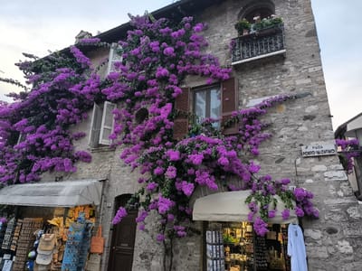 This is a photograph taken from a low angle, looking up at the facade of a stone building in Sirmione, Italy. The building is adorned with an abundance of vibrant purple bougainvillea flowers cascading down its walls. The flowers are so dense in some areas that they obscure the stonework and the windows. One window on the upper floor features closed wooden shutters, and above it, a balcony with black iron railings is decorated with potted plants. Another window on the middle floor also has closed wooden shutters. The ground level of the building houses two shops. The shop on the left has its awning extended and displays a variety of goods, including bags, hats, and souvenirs, arranged on shelves and racks. The shop on the right has its awning extended, and its window display shows various items. A dark wooden door is visible to the left of this shop. To the right of the shops, a white sign on the stone wall reads "PIAZZA PORTO VALENTINO." The sky above is overcast. The overall scene is one of charm and rustic beauty, characteristic of Italian lakeside towns.