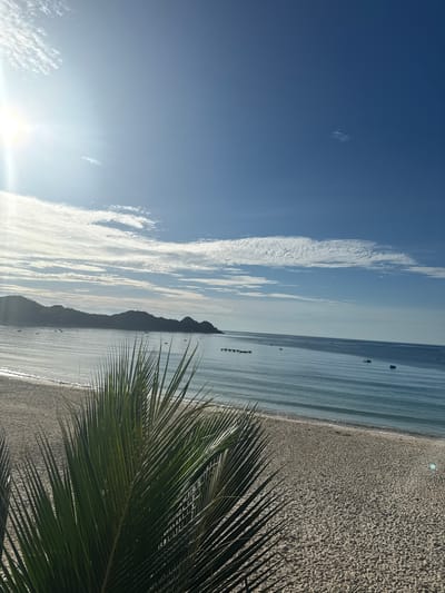 An eye-level, wide shot captures a serene beach scene in Song Cau, Vietnam, on a bright, clear day. The sun, positioned in the upper left corner, casts a strong glare and creates sunbeams across the light blue sky, which is dotted with wispy white clouds. The ocean, a tranquil blue, stretches out to the horizon where it meets a range of green, hilly islands. Small boats are scattered across the water's surface, and the gentle waves lap against a sandy beach in the foreground. A large, lush green palm frond dominates the lower left of the frame, its sharp leaves adding a natural, tropical element to the composition. The sand is a light beige, marked with subtle shadows and footprints. The overall impression is one of peace and natural beauty.