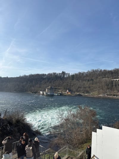 This image presents a daytime scene at the Rhine Falls (Rheinfall) in Neuhausen am Rheinfall, Switzerland. The sky is clear blue, marked by multiple distinct white contrails.
In the foreground, a concrete staircase with dark metal railings descends from the lower-left to the lower-center. Approximately eight individuals are visible on these stairs; one person in the far-left foreground holds an object, possibly a camera, pointed towards the waterfall. Other individuals are seen ascending or descending the steps, all dressed in winter or early spring outerwear, including jackets and hats. To the right of the stairs, a white, multi-panel partition or wall stands vertically. Sparse, leafless deciduous vegetation is scattered around the foreground banks.
The midground is dominated by the Rhine River. A large expanse of turbulent, white-foamed water, indicative of the falls, occupies the lower-center, transitioning into darker blue, rippling water further downstream towards the right.
The far bank across the river features a steep, forested hillside covered in dense, bare deciduous trees, suggesting a winter or early spring season. Along the river's edge on the far bank, several buildings are visible. A prominent, multi-story structure with a dark roof stands directly opposite the falls, accompanied by smaller residential-style buildings to its right. Further along the far bank, a paved path or road runs parallel to the river. In the upper-right background, a large arched viaduct, likely a railway bridge, spans the forested terrain. The scene is brightly lit by direct sunlight, casting distinct shadows.