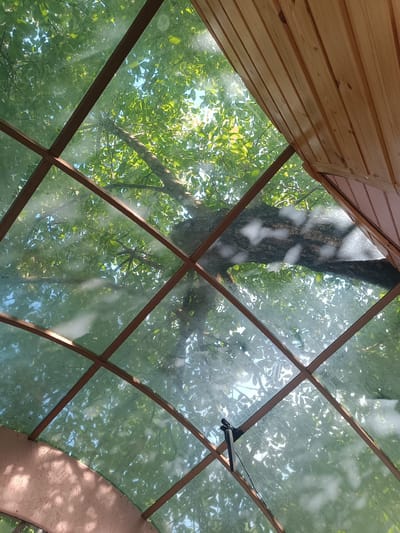 This image, taken in Supivka, Ukraine, looks up through a sloped, multi-paned glass roof structure. Sunlight filters through the canopy of a large tree, casting dappled shadows on the glass and the wooden ceiling panels that border the top right of the frame. The glass panes are supported by a grid of thin, brown metal bars. In the distance, a tree trunk and branches are visible against a bright blue sky and green foliage. A small black object, possibly a camera or sensor, is attached to one of the metal bars. The overall impression is one of an outdoor structure, perhaps a gazebo or greenhouse, with a tree growing over it.